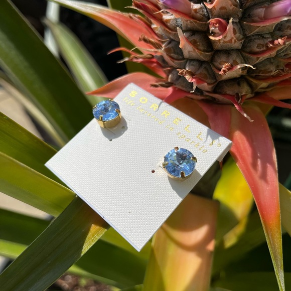 SOLD Blue Sorrelli Stud Earrings - Picture 2 of 4